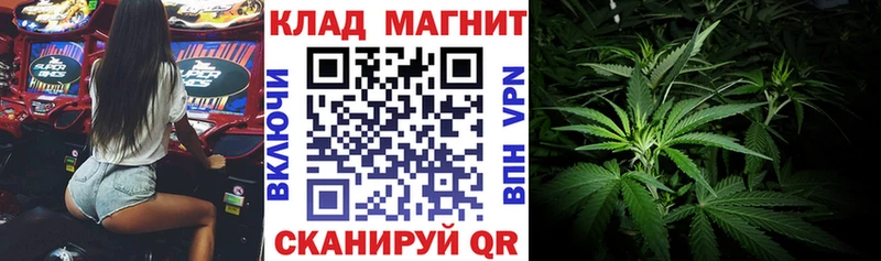 Цена Ардон 