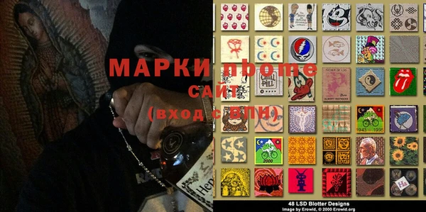 трава Аркадак