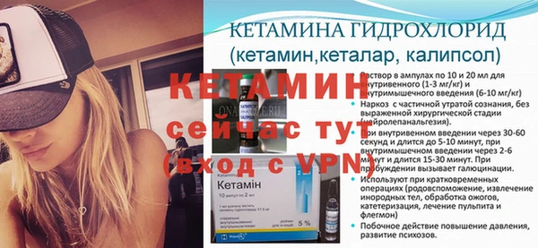 трава Аркадак