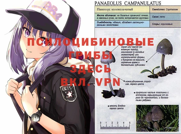 стафф Армянск