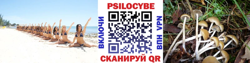 omg онион  Ардон  Галлюциногенные грибы GOLDEN TEACHER  купить наркотик 
